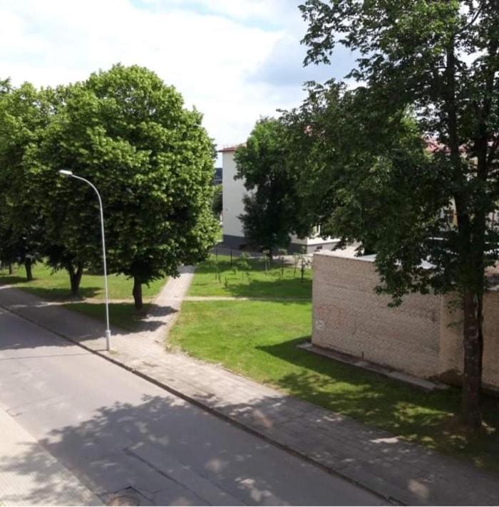 Alytus Ziburio Studio Екстер'єр фото